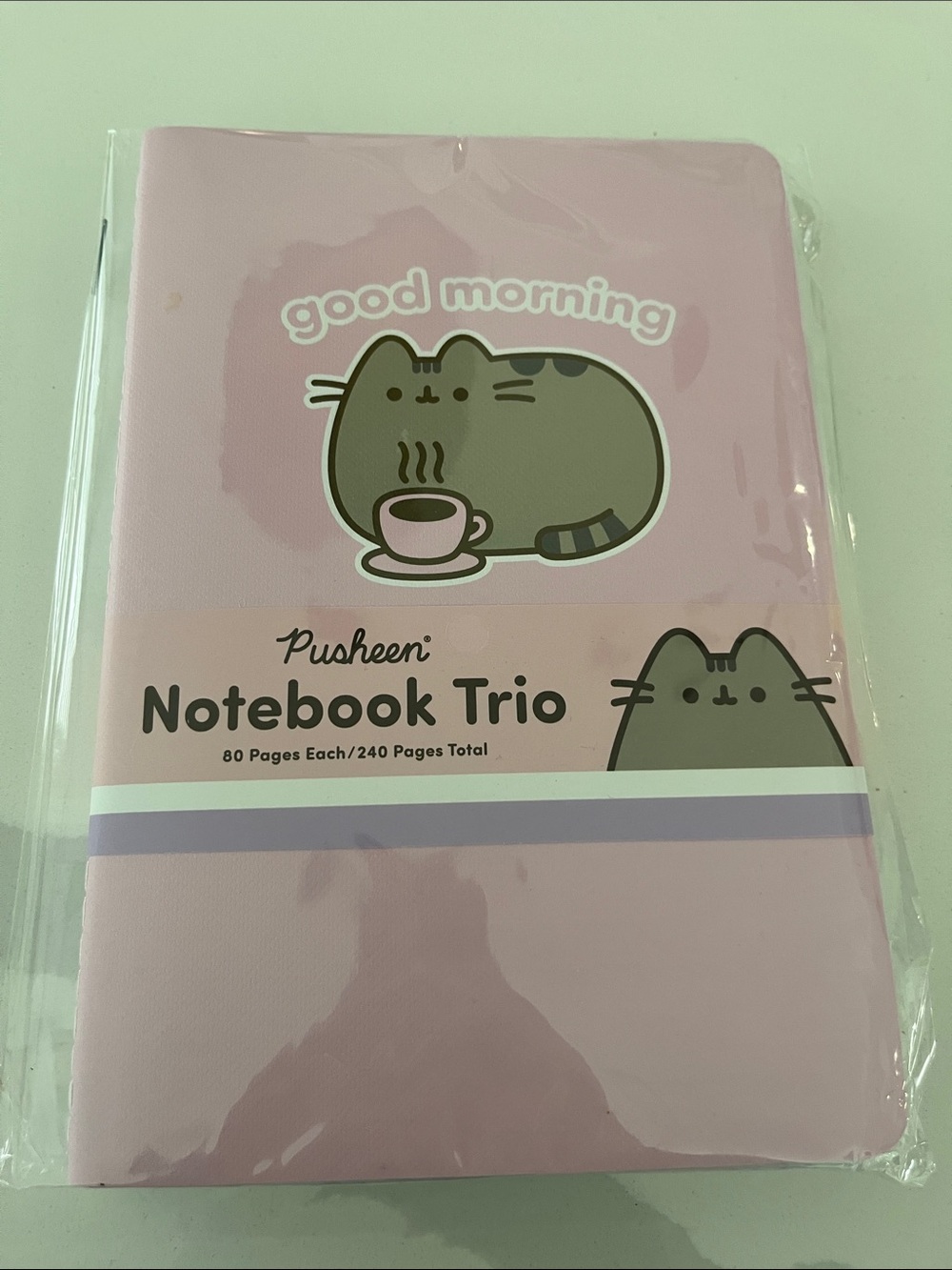 Pusheen Notebook Trio